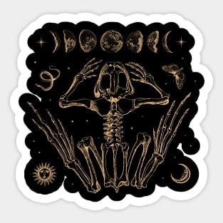 Enchanting Emo Occult: Goblincore Aesthetic Meets Dark Academia - Vintage Frog Skeleton, Moth, Moon Phases, and Toad Art Sticker